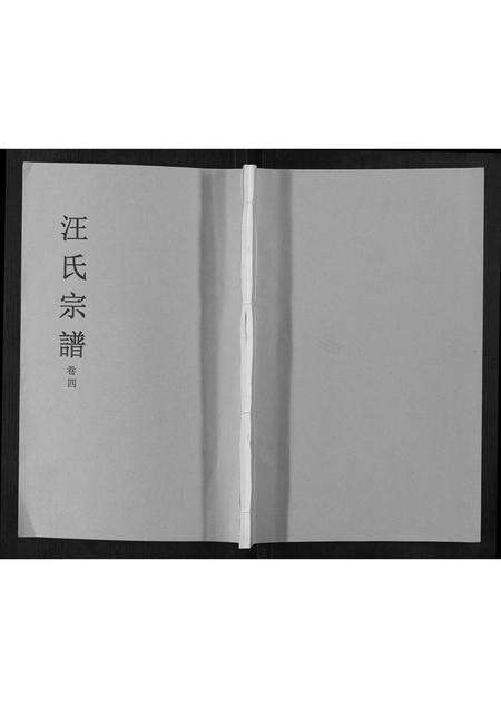 安徽汪氏族谱-汪氏宗谱[4卷].pdf电子版缩略图