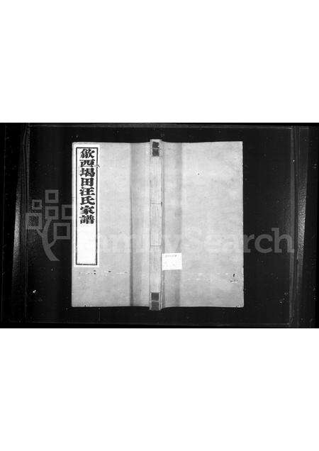 安徽汪氏族谱-歙西堨田汪氏十六族谱 [4卷,首1卷].pdf电子版缩略图