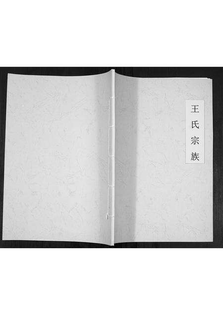 安徽王氏族谱-王氏宗族[不分卷].pdf电子版缩略图