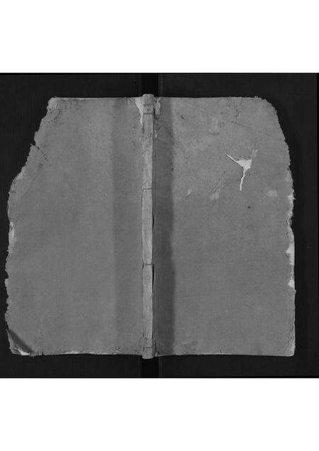 安徽王氏族谱-王氏宗谱.pdf电子版缩略图