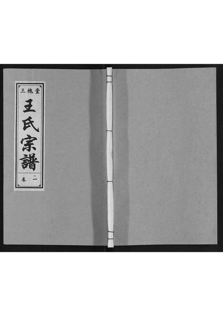 安徽王氏族谱-王氏宗谱.pdf电子版缩略图