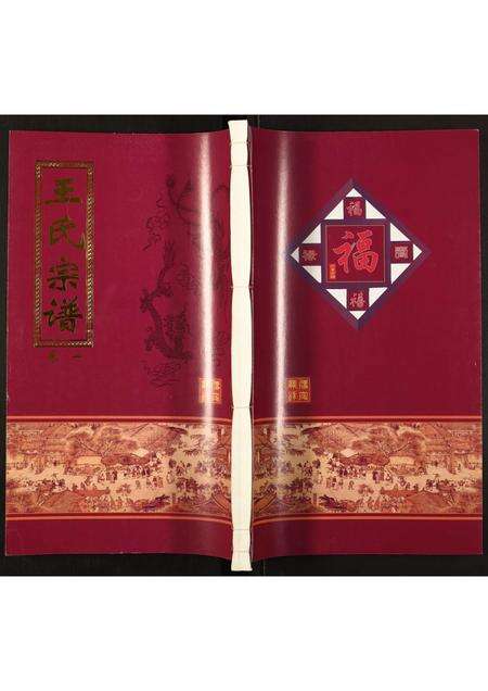 安徽王氏族谱-王氏宗谱.pdf电子版缩略图