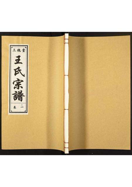 安徽王氏族谱-王氏宗谱.pdf电子版缩略图