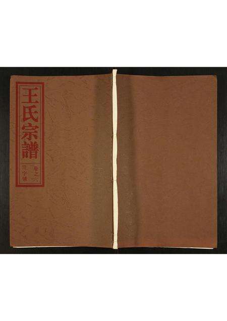 安徽王氏族谱-王氏宗谱.pdf电子版缩略图