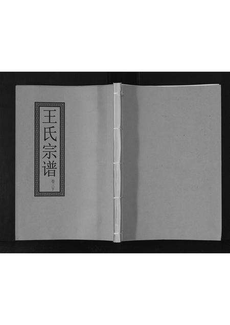 安徽王氏族谱-王氏宗谱[3卷].pdf电子版缩略图