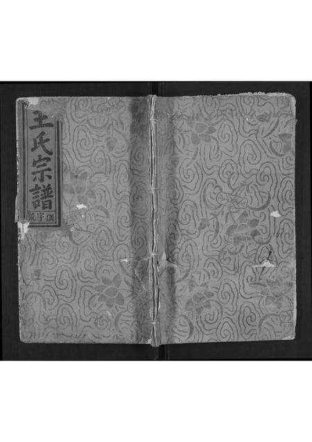 安徽王氏族谱-王氏宗谱[4卷首1卷].pdf电子版缩略图