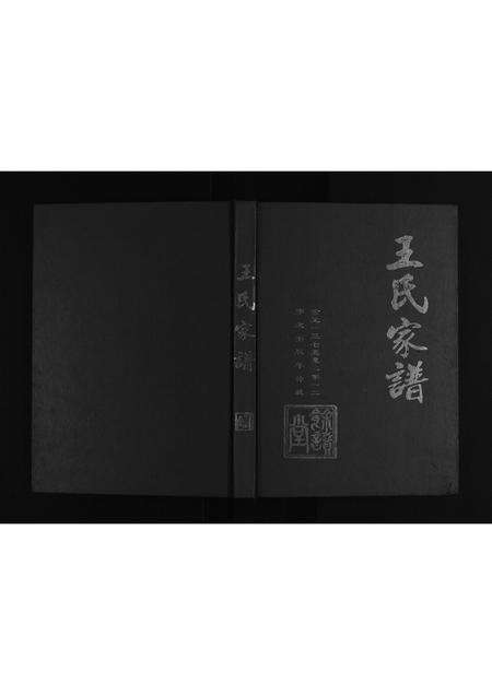 安徽王氏族谱-王氏家谱[不分卷].pdf电子版缩略图