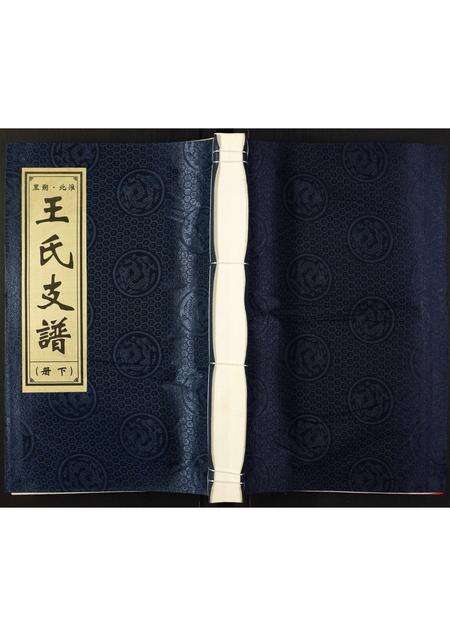 安徽王氏族谱-王氏支谱.pdf电子版缩略图