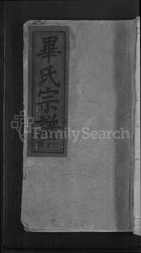 安徽毕氏族谱-毕氏宗谱 [13卷,首1卷].pdf电子版缩略图