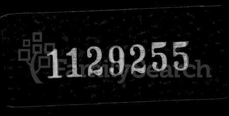 安徽曹氏族谱-小岭曹氏宗谱 [24卷].pdf电子版缩略图