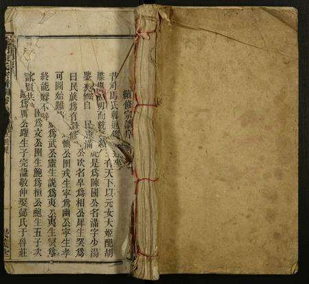 安徽陈氏族谱-义门陈氏宗谱.pdf电子版缩略图