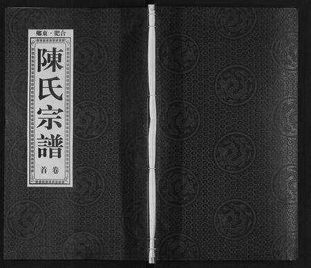 安徽陈氏族谱-陈氏宗谱.pdf电子版缩略图