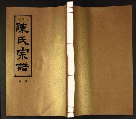 安徽陈氏族谱-陈氏宗谱.pdf电子版缩略图