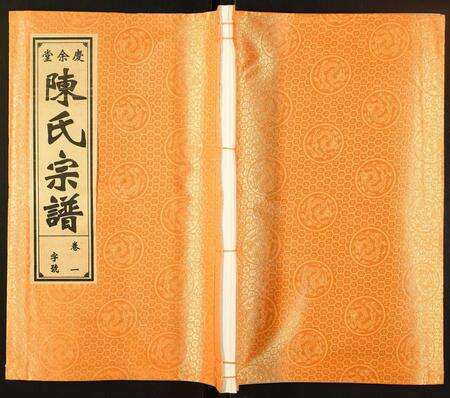 安徽陈氏族谱-陈氏宗谱.pdf电子版缩略图