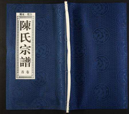 安徽陈氏族谱-陈氏宗谱.pdf电子版缩略图