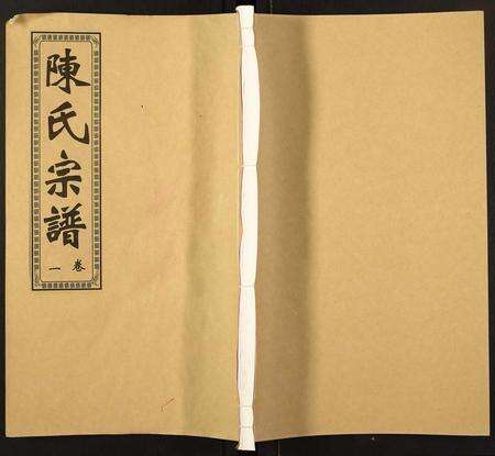 安徽陈氏族谱-陈氏宗谱.pdf电子版缩略图