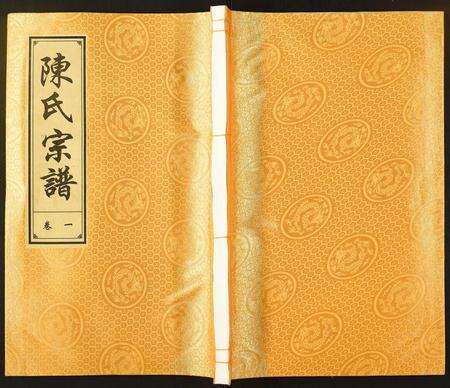 安徽陈氏族谱-陈氏宗谱.pdf电子版缩略图