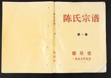 安徽陈氏族谱-陈氏宗谱.pdf电子版缩略图