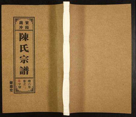 安徽陈氏族谱-陈氏宗谱.pdf电子版缩略图