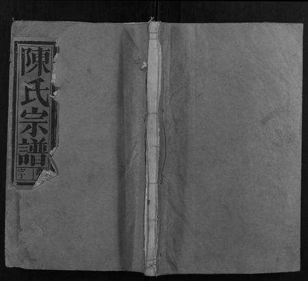 安徽陈氏族谱-陈氏宗谱 [19卷首1卷末2卷].pdf电子版缩略图