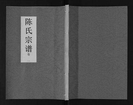 安徽陈氏族谱-陈氏宗谱[14卷].pdf电子版缩略图