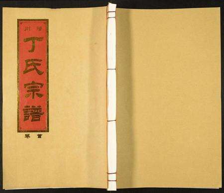 安徽丁氏族谱-潜川丁氏宗谱.pdf电子版缩略图