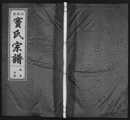 安徽窦氏族谱-窦氏宗谱.pdf电子版缩略图