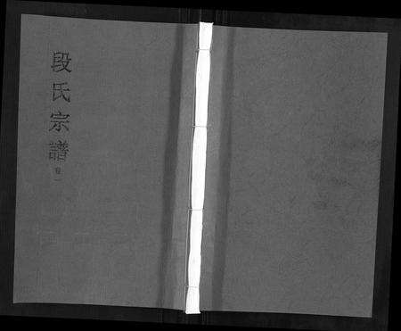 安徽段氏族谱-段氏宗谱[不分卷].pdf电子版缩略图