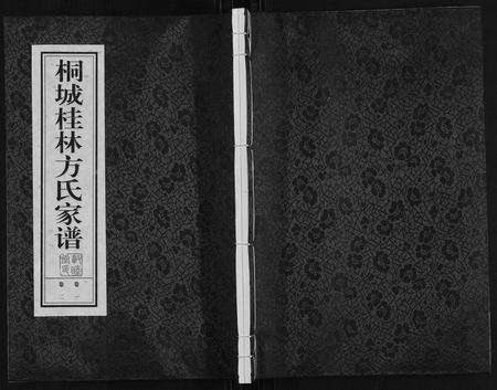 安徽方氏族谱-桐城桂林方氏家谱.pdf电子版缩略图