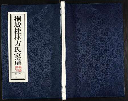 安徽方氏族谱-桐城桂林方氏家谱.pdf电子版缩略图