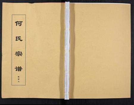 安徽何氏族谱-何氏宗谱[8卷首2卷].pdf电子版缩略图