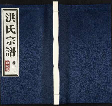 安徽洪氏族谱-洪氏宗谱.pdf电子版缩略图