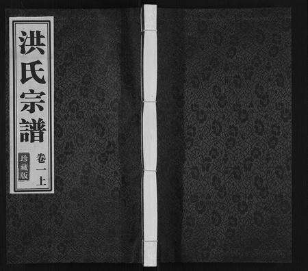 安徽洪氏族谱-洪氏宗谱[5卷].pdf电子版缩略图