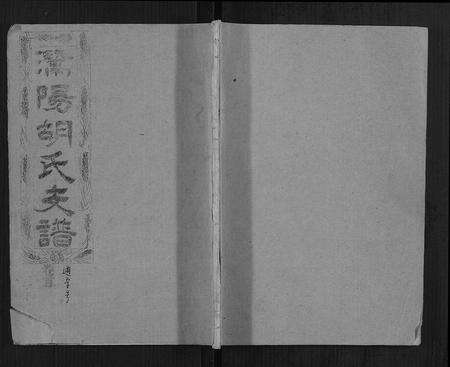 安徽胡氏族谱-安定郡潜阳胡氏支谱.pdf电子版缩略图