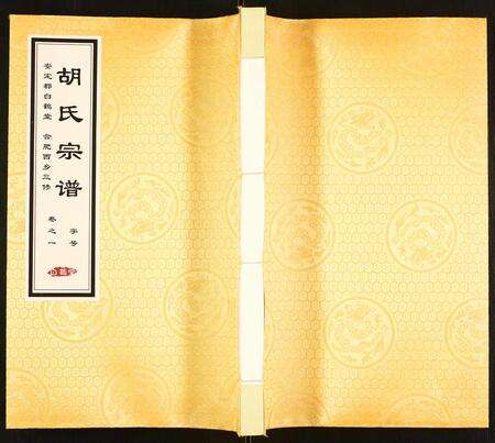 安徽胡氏族谱-胡氏宗谱.pdf电子版缩略图
