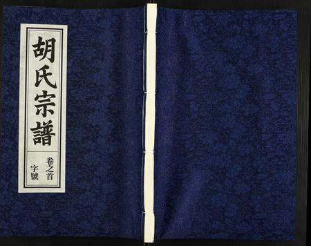 安徽胡氏族谱-胡氏宗谱.pdf电子版缩略图