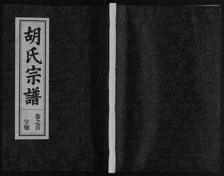安徽胡氏族谱-胡氏宗谱[7卷首1卷].pdf电子版缩略图