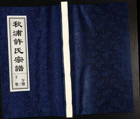 安徽许氏族谱-许氏宗谱.pdf电子版缩略图