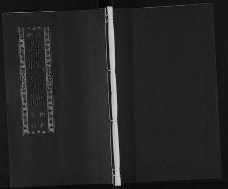 安徽许氏族谱-许氏宗谱[14卷首1卷末1卷].pdf电子版缩略图