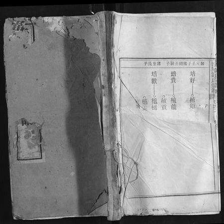 安徽许氏族谱-黄华许氏宗谱.pdf电子版缩略图