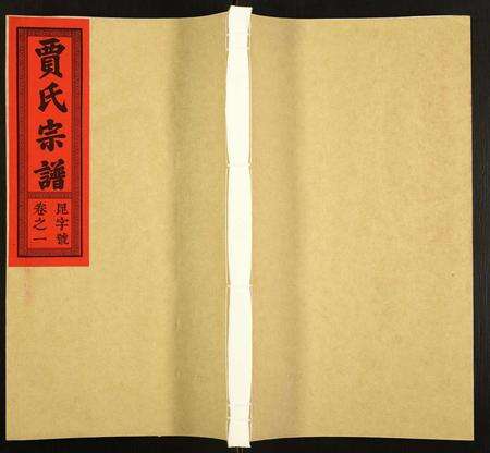 安徽贾氏族谱-贾氏宗谱.pdf电子版缩略图