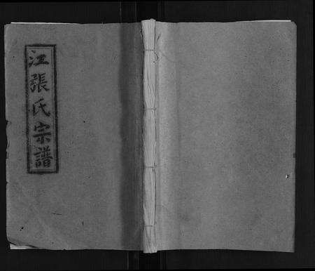 安徽江张氏族谱-江张氏宗谱[12卷首1卷].pdf电子版缩略图