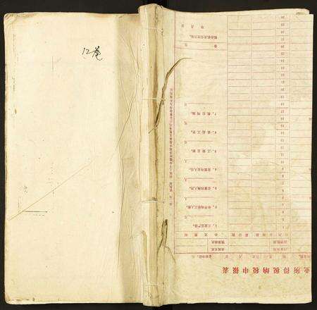 安徽龙氏族谱-龙氏宗谱.pdf电子版缩略图