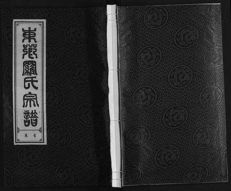 安徽罗氏族谱-罗氏宗谱.pdf电子版缩略图