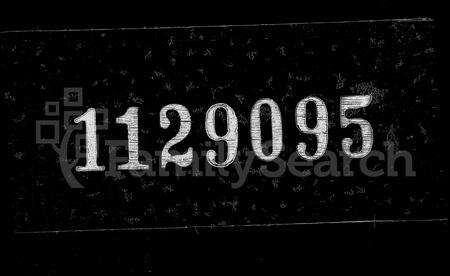 安徽马氏族谱-怀宁马氏宗谱 [15卷, 首1卷].pdf电子版缩略图