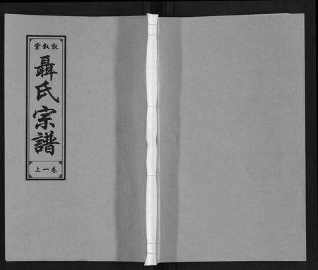 安徽聂氏族谱-聂氏宗谱.pdf电子版缩略图