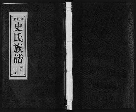 安徽史氏族谱-史氏族谱.pdf电子版缩略图