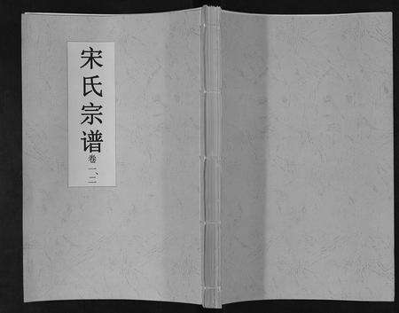 安徽宋氏族谱-宋氏宗谱.pdf电子版缩略图