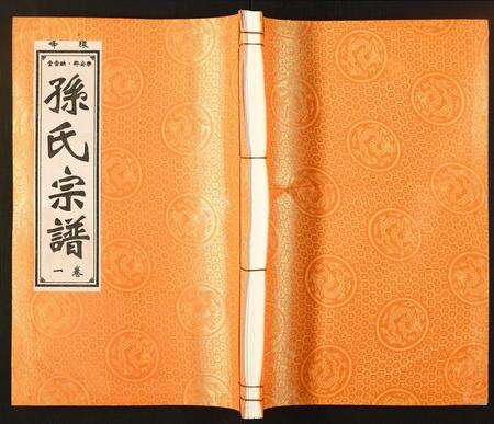 安徽孙氏族谱-孙氏宗谱.pdf电子版缩略图