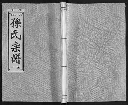 安徽孙氏族谱-孙氏宗谱.pdf电子版缩略图